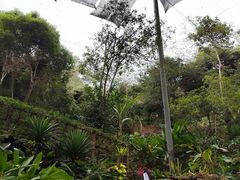 -野象谷景区