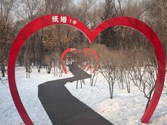-黛秀湖公园