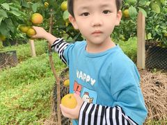 -前小桔亲子创意农场·草莓采摘·露营烧烤