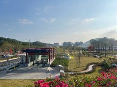 -云溪植物园