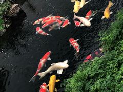 -罗红摄影艺术馆