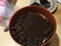 送的&nbsp;盆栽冰淇淋-雷门拉面店(新光天地店)