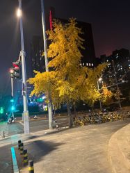 -Oasis Beauty水磨坊科技美肤中心