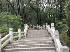 -灵岩山风景区