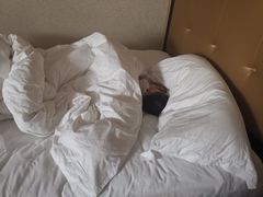 -大连中远海运洲际酒店
