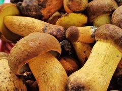 -菌之家·专业纯野生菌火锅·特色炒菌