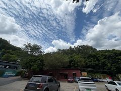 -火炉山森林公园
