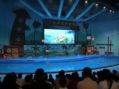 -石家庄极地海洋世界