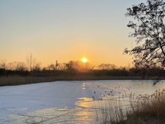 -大兴滨河森林公园