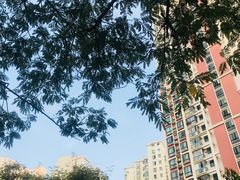 -世纪同乐绿地世纪城二期