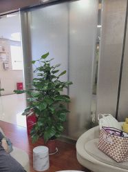 -武汉五洲整形外科医院