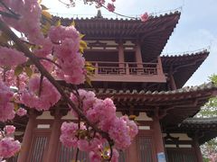 -西安青龙寺遗址景区