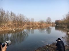 -新江湾城公园