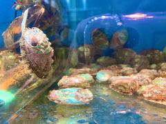 -吕氏疙瘩汤·私家菜馆(慈云寺店)