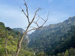 -泰山风景名胜区