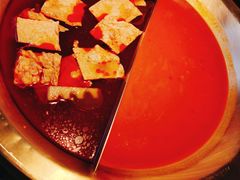 -九鼎轩脆毛肚火锅(南京东路店)