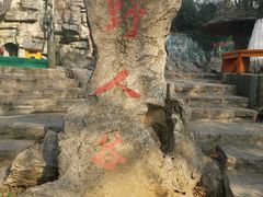 -善卷洞风景区