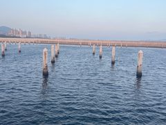 -清水湾旅游度假区