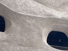 -美国自然历史博物馆