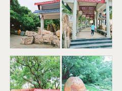 -深圳龙潭公园