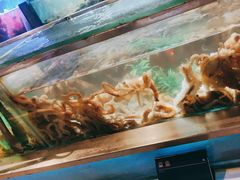 -V-ONE西雅图海鲜自助餐厅(仓山万达广场店)