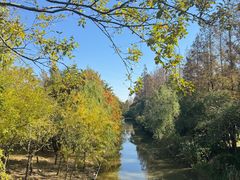 -上海长兴岛郊野公园