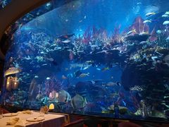 橡木烟熏三文鱼-迪拜帆船酒店海底餐厅