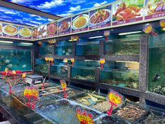 水产区-新金盛·海鲜酒楼(盐田店)