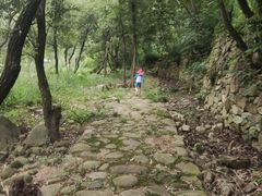 -武汉姚家山旅游景区