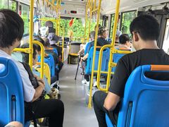 -五营红松林海景区