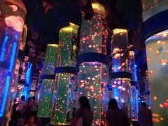 -石林冰雪海洋世界