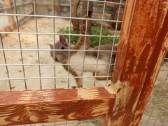 -百里峡七彩艺术小镇