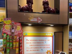 -pd派德宠物中心医院24H急重症·眼科中心·血液透析中心(嵩山北路店)