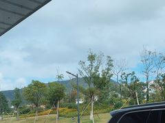 -金海湾海鲜排档(朱家尖店)