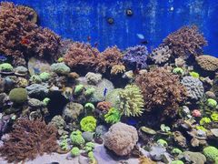 -珠海长隆海洋王国