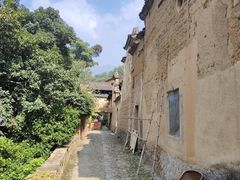 -杨家堂村