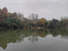 -西溪国家湿地公园