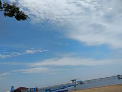 -碧海金沙