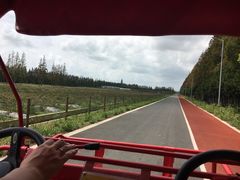 -上海长兴岛郊野公园