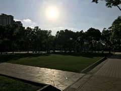 -新江湾城公园