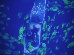 -太平洋海底世界博览馆·展览厅