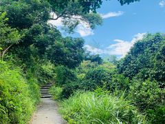 -石排湾郊野公园