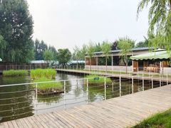 -午后庭院