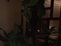 -紫莲花足道(柯桥古镇店)