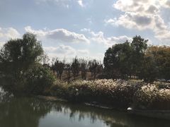 -同济大学(嘉定校区)