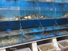 -宾朋海鲜饭庄(兴海路店)