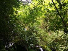 -神农架香溪源景区