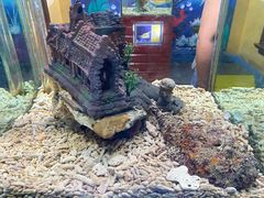 -太平洋海底世界