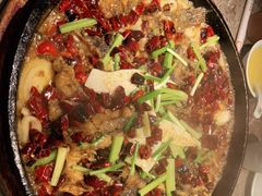 -老板恋上鱼(恒隆广场店)