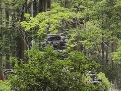-滴水岩森林公园